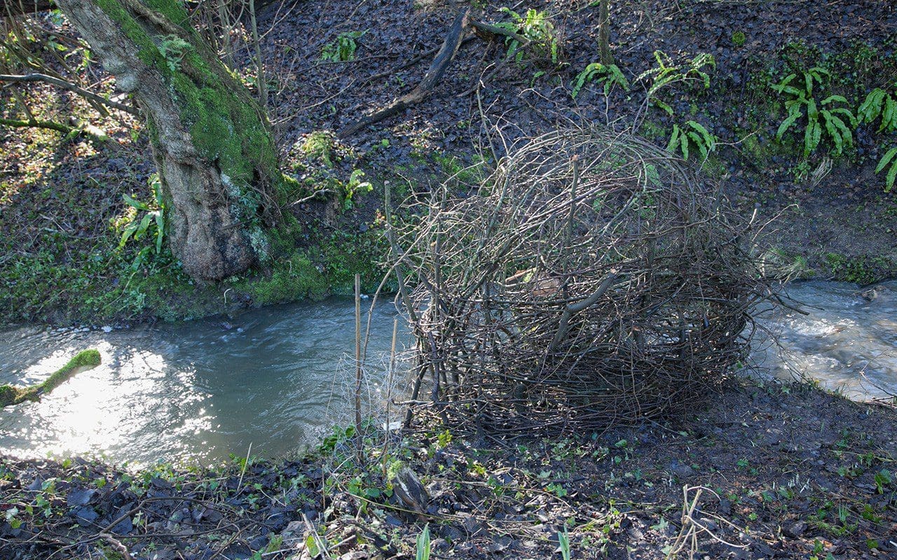 Coppiced hazel protected by a cage of offcuts at Dan Pearson's Somerset property