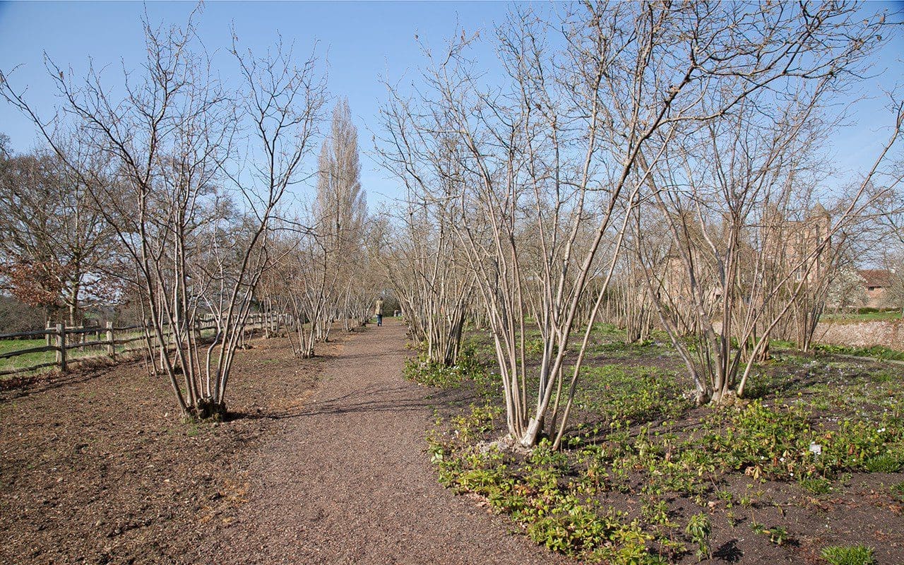 The Nuttery at Sissinghurst Castle by Huw Morgan