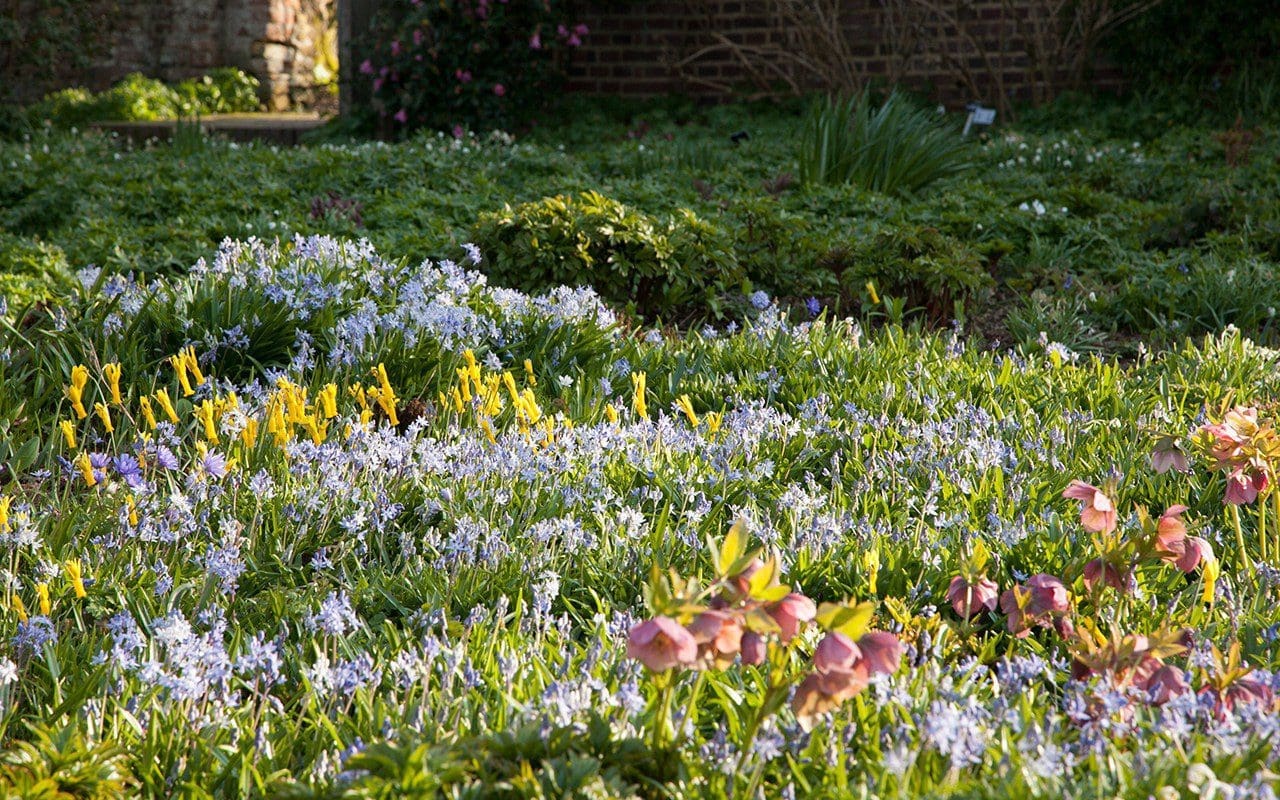 Planting in Delos at Sissinghurst Castle by Huw Morgan