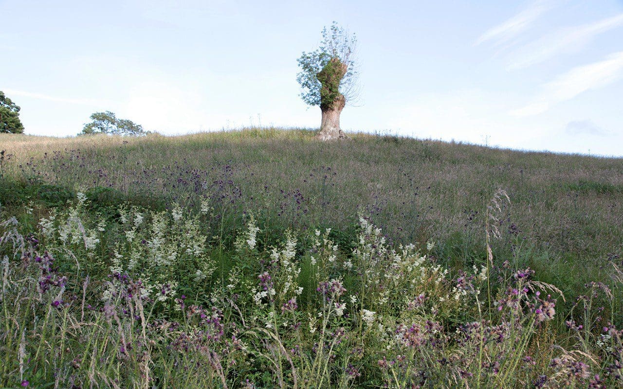 The Tump at Dan Pearson's Somerset farm. Photograph: Huw Morgan