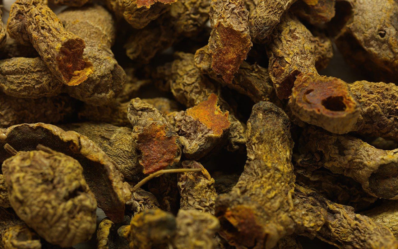 Turmeric