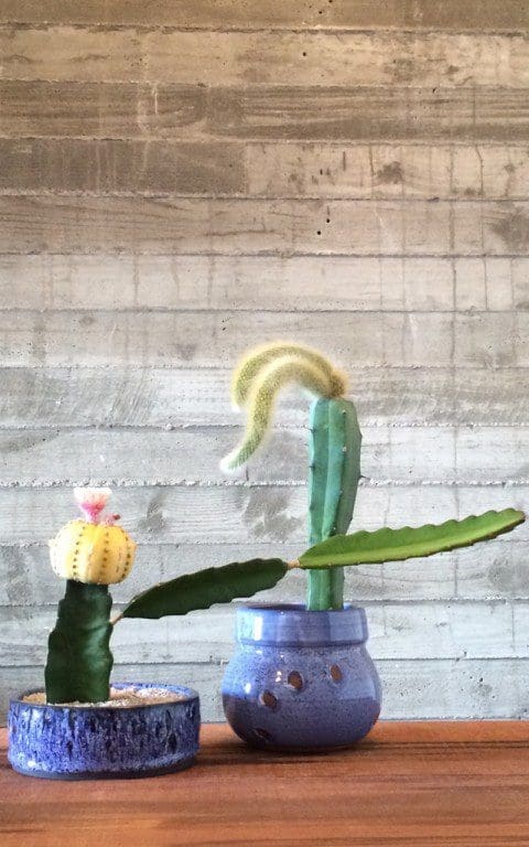 Grafted, Adam Silverman and Kohei Yoda, 2014
