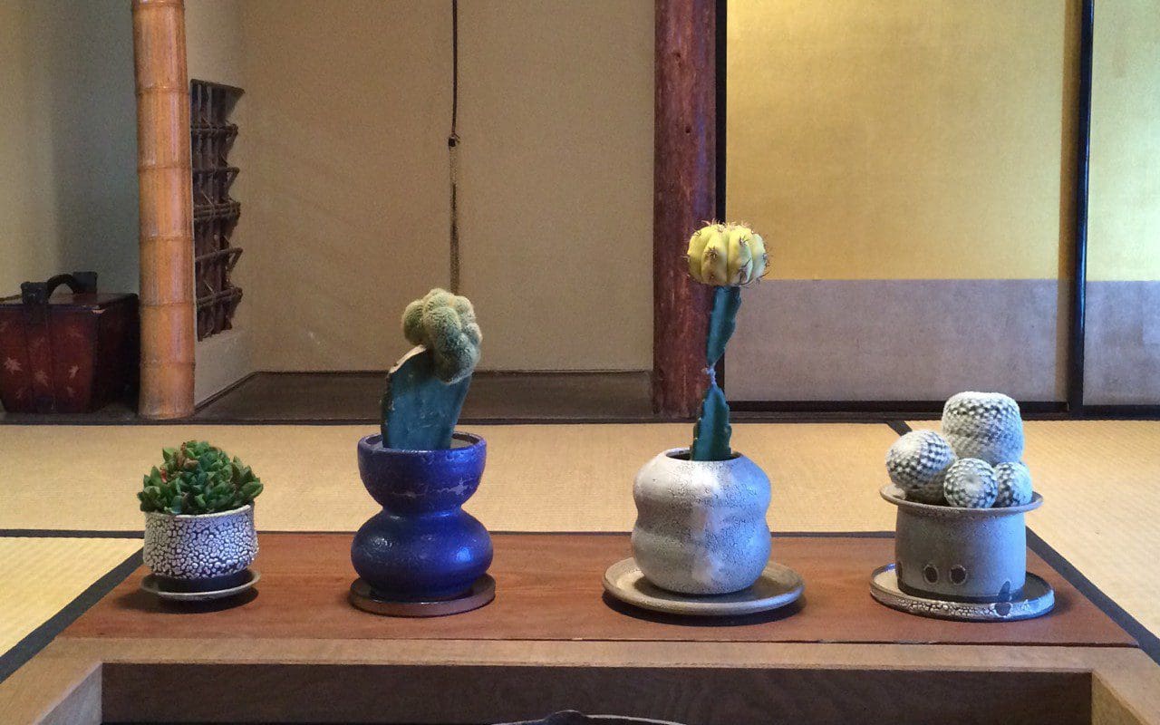 Adam Silverman - Dig Delve – An online magazine about gardens