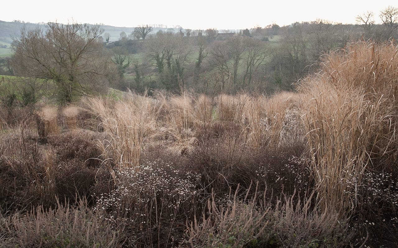 Dan Pearson's Somerset Garden. Photo: Huw Morgan