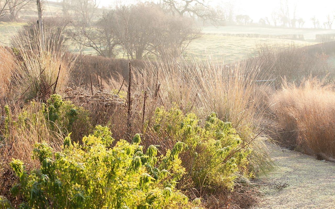 Dan Pearson's Somerset Garden. Photo: Huw Morgan