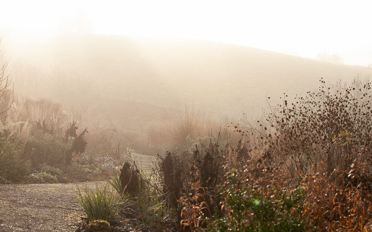 Dan Pearson's Somerset Garden