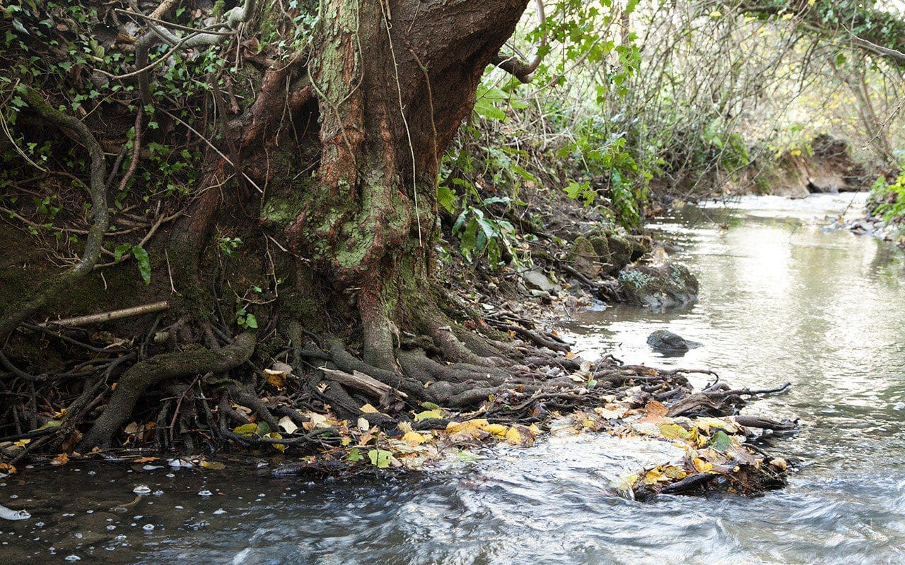 The Stream at Dan Pearson's Somerset property