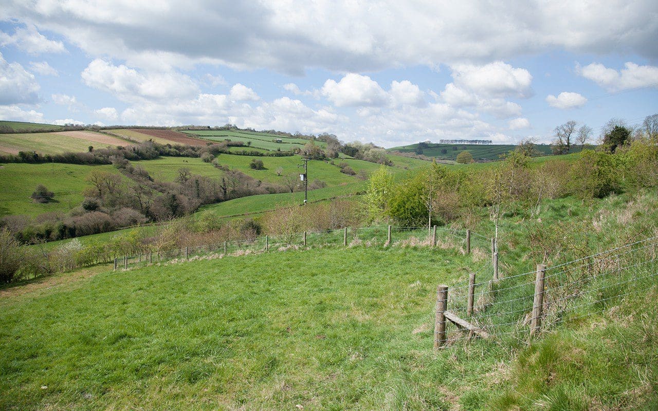The Blossom Wood at Dan Pearson's Somerset property