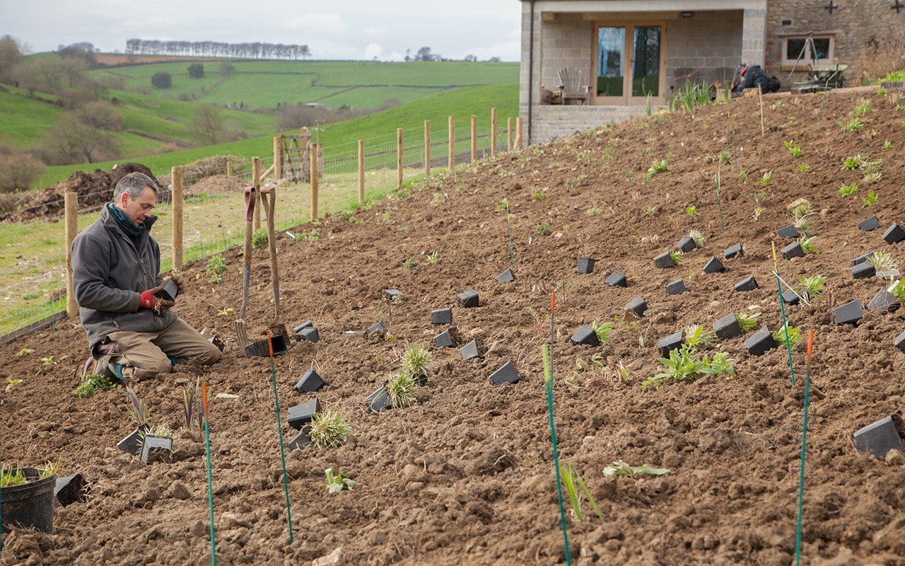 Ian Mannall planting up Dan Pearson's Somerset garden