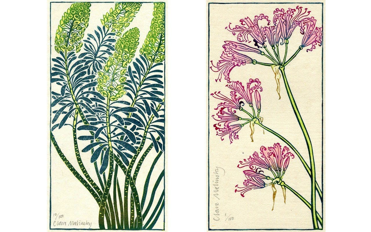 Illustrations by Clare Melinsky