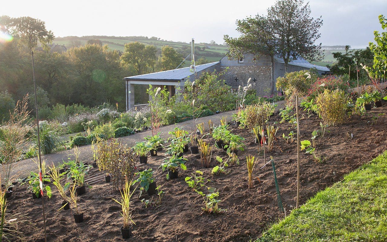 The top bed in Dan Pearson's Somerset garden. Photo: Huw Morgan