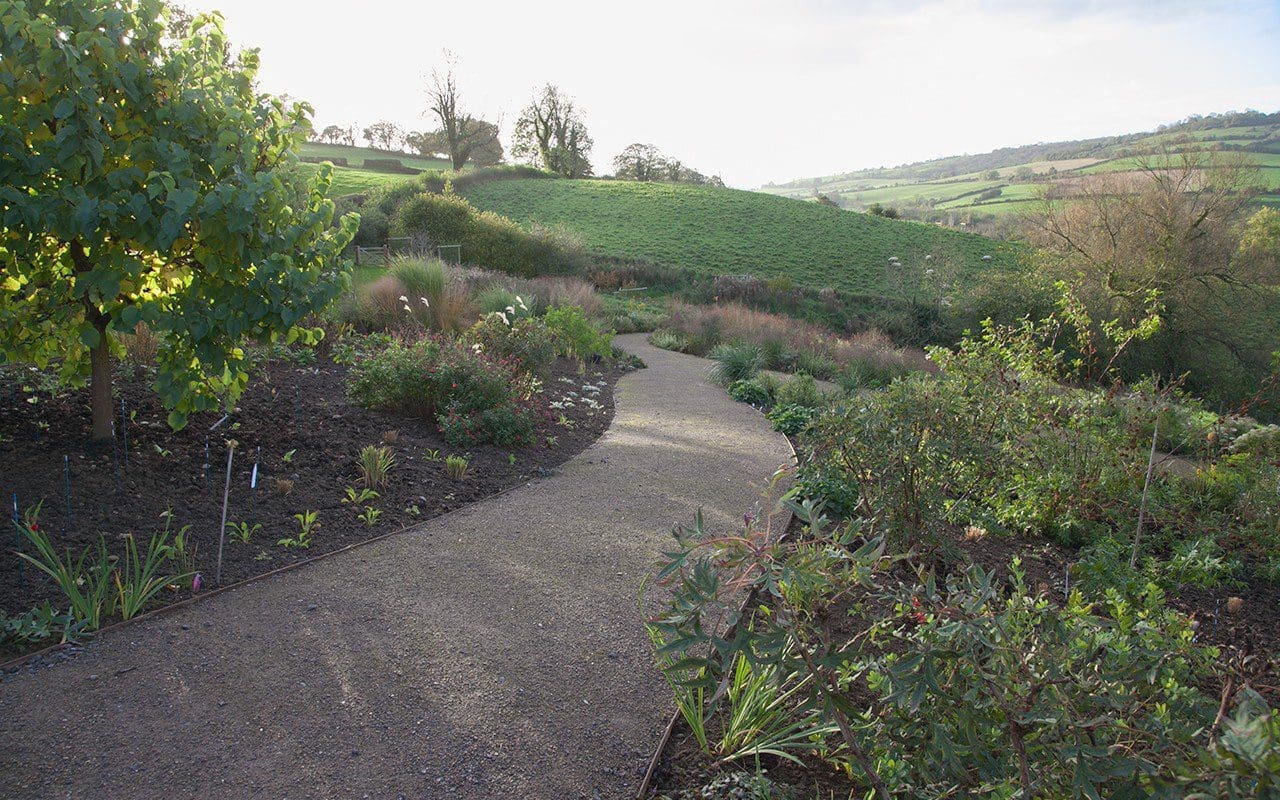 Dan Pearson's Somerset garden. Photo: Huw Morgan