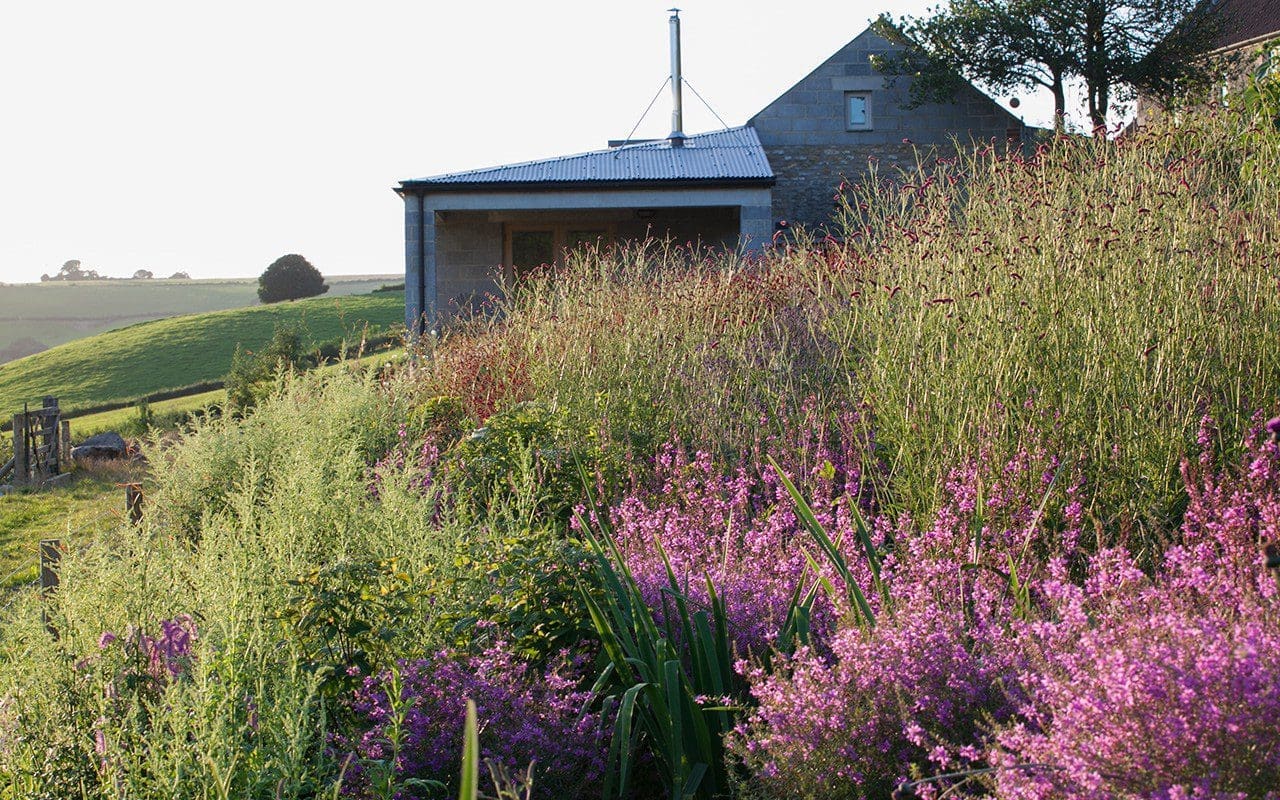 Dan Pearson's Somerset garden. Photo: Huw Morgan