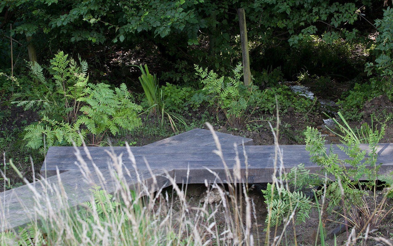 Osmunda regalis planted by the bridge on Dan Pearson's Somerset property. Photo: Huw Morgan