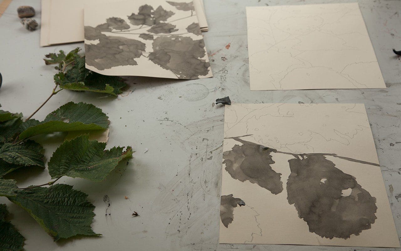 Lucy Auge hazel shadow paintings. Photo: Huw Morgan